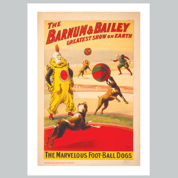 Barnum & Bailey - Circus Dogs